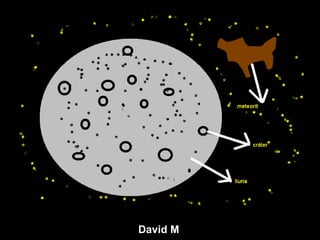 David M 