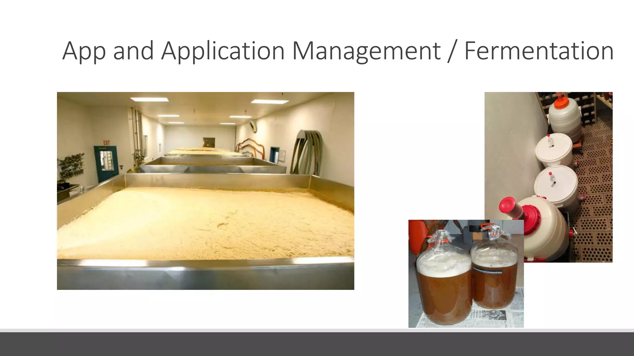 App and Application Management / Fermentation
 