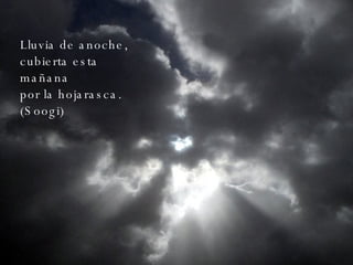 Lluvia de anoche, cubierta esta mañana por la hojarasca. (Soogi) 