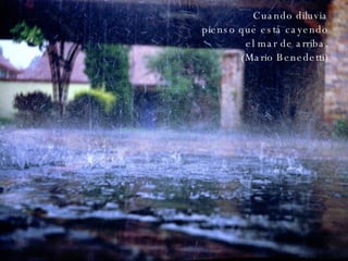 Cuando diluvia pienso que está cayendo el mar de arriba. (Mario Benedetti) 