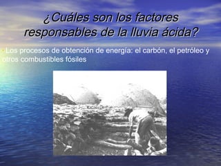 ¿Cuáles son los factores
responsables de la lluvia ácida?
• Los

procesos de obtención de energía: el carbón, el petróleo y
otros combustibles fósiles

 