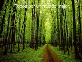 Todos por un mundo mejor.

 