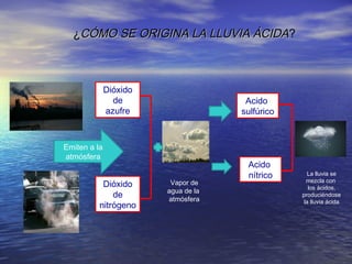 ¿CÓMO SE ORIGINA LA LLUVIA ÁCIDA?

Dióxido
de
azufre

Acido
sulfúrico

Emiten a la
atmósfera

Dióxido
de
nitrógeno

Vapor de
agua de la
atmósfera

Acido
nítrico

La lluvia se
mezcla con
los ácidos,
produciéndose
la lluvia ácida

 