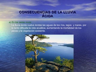 CONSECUENCIAS DE LA LLUVIA
ÁCIDA
a) En los seres vivos:
La lluvia ácida vuelve ácidas las aguas de los ríos, lagos y mares, por
lo tanto dificulta la vida acuática, aumentando la mortalidad de los
peces y la vegetación existente.

 