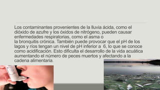 Los contaminantes provenientes de la lluvia ácida, como el
dióxido de azufre y los óxidos de nitrógeno, pueden causar
enfermedades respiratorias, como el asma o
la bronquitis crónica. También puede provocar que el pH de los
lagos y ríos tengan un nivel de pH inferior a 6, lo que se conoce
como acidificación. Esto dificulta el desarrollo de la vida acuática
aumentando el número de peces muertos y afectando a la
cadena alimentaria.
 