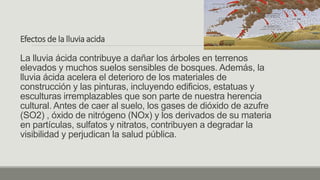 Efectos de la lluvia acida
La lluvia ácida contribuye a dañar los árboles en terrenos
elevados y muchos suelos sensibles de bosques. Además, la
lluvia ácida acelera el deterioro de los materiales de
construcción y las pinturas, incluyendo edificios, estatuas y
esculturas irremplazables que son parte de nuestra herencia
cultural. Antes de caer al suelo, los gases de dióxido de azufre
(SO2) , óxido de nitrógeno (NOx) y los derivados de su materia
en partículas, sulfatos y nitratos, contribuyen a degradar la
visibilidad y perjudican la salud pública.
 