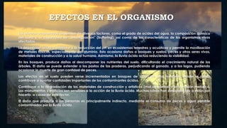 EFECTOS EN EL ORGANISMO
Los efectos ocasionados dependen de diversos factores, como el grado de acidez del agua, la composición química
del suelo y su capacidad de "amortiguación" (buffering), así como de las características de los organismos vivos
afectados.
La deposición ácida contribuye a la reducción del pH en ecosistemas terrestres y acuáticos y permite la movilización
de metales tóxicos, especialmente del aluminio. Esto ocasiona daños a bosques y suelos, peces y otros seres vivos,
materiales de construcción y a la salud humana. Asimismo, la lluvia ácida actúa reduciendo la visibilidad.
En los bosques, produce daños al descomponer los nutrientes del suelo, dificultando el crecimiento natural de los
árboles. El daño se puede extender a los pastos de las praderas, perjudicando al ganado, y a los lagos, pudiendo
ocasionar la muerte de gran cantidad de peces.
Los efectos en el suelo pueden verse incrementados en bosques de zonas de alta montaña, donde la niebla
contribuye a aportar cantidades importantes de los contaminantes ácidos.
Contribuye a la degradación de los materiales de construcción y artísticos (mal de piedra) y la corrosión metálica.
Los monumentos y edificios son sensibles a la acción de la lluvia ácida. Muchas ruinas han desaparecido o están por
hacerlo, a causa de este factor.
El daño que produce a las personas es principalmente indirecto, mediante el consumo de peces y agua potable
contaminados por la lluvia ácida.
