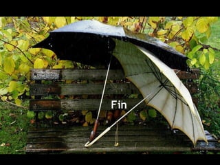 Fin
 
