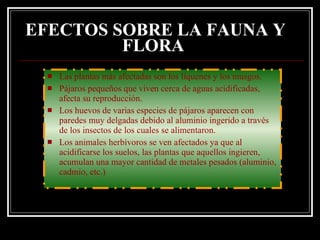 EFECTOS SOBRE LA FAUNA Y
         FLORA
     Las plantas más afectadas son los líquenes y los musgos.
     Pájaros pequeños que viven cerca de aguas acidificadas,
      afecta su reproducción.
     Los huevos de varias especies de pájaros aparecen con
      paredes muy delgadas debido al aluminio ingerido a través
      de los insectos de los cuales se alimentaron.
     Los animales herbívoros se ven afectados ya que al
      acidificarse los suelos, las plantas que aquellos ingieren,
      acumulan una mayor cantidad de metales pesados (aluminio,
      cadmio, etc.)
 
