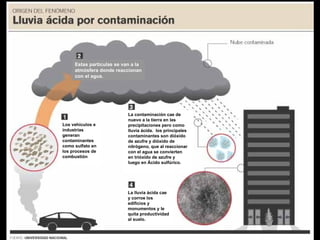 Estas partículas se van a la
     atmósfera donde reaccionan
     con el agua.




                           La contaminación cae de
                           nuevo a la tierra en las
Los vehículos e            precipitaciones pero como
industrias                 lluvia ácida. los principales
generan                    contaminantes son dióxido
contaminantes              de azufre y dióxido de
como sulfato en            nitrógeno, que al reaccionar
los procesos de            con el agua se convierten
combustión                 en trióxido de azufre y
                           luego en Ácido sulfúrico.




                           La lluvia ácida cae
                           y corroe los
                           edificios y
                           monumentos y le
                           quita productividad
                           al suelo.
 