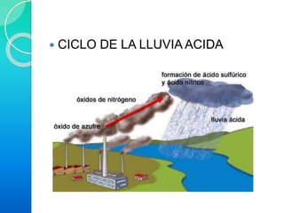  CICLO DE LA LLUVIA ACIDA
 