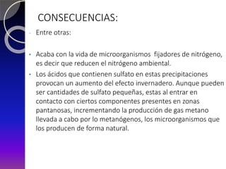 CONSECUENCIAS:
- Entre otras:
• Acaba con la vida de microorganismos fijadores de nitrógeno,
es decir que reducen el nitrógeno ambiental.
• Los ácidos que contienen sulfato en estas precipitaciones
provocan un aumento del efecto invernadero. Aunque pueden
ser cantidades de sulfato pequeñas, estas al entrar en
contacto con ciertos componentes presentes en zonas
pantanosas, incrementando la producción de gas metano
llevada a cabo por lo metanógenos, los microorganismos que
los producen de forma natural.
 