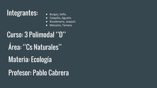 Integrantes: ● Burgos, Sofía.
● Calapiña, Agustín.
● Rivadeneira, Joaquín.
● Maizares, Tamara.
Curso: 3 Polimodal ‘’D’’
Área: ‘’Cs Naturales’’
Materia: Ecología
Profesor: Pablo Cabrera
 