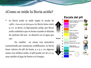 ¿Como se mide la lluvia acida? 
• La lluvia acida se mide según la escala de 
«pH», Potencial de Hidrogeno La lluvia tiene entre 
5 y 6 es decir, es ligeramente acida, por llevar 
acido carbónico que se forma cuando el dióxido 
de carbono del aire se disuelve en el agua que 
cae. 
En cambio en zonas con atmosfera 
contaminada por sustancias acidificantes, la lluvia 
tiene valores de pH de hasta 4 o 3 y, en algunas 
zonas con neblina acida, el pH puede ser de 2 o 3, 
muy similar al jugo de limón o el vinagre. 
 