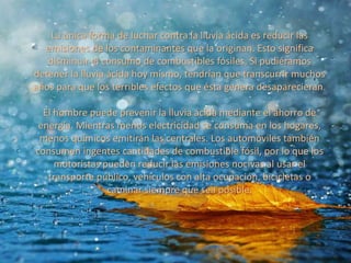 La única forma de luchar contra la lluvia ácida es reducir las
emisiones de los contaminantes que la originan. Esto significa
disminuir el consumo de combustibles fósiles. Si pudiéramos
detener la lluvia ácida hoy mismo, tendrían que transcurrir muchos
años para que los terribles efectos que ésta genera desaparecieran.
El hombre puede prevenir la lluvia ácida mediante el ahorro de
energía. Mientras menos electricidad se consuma en los hogares,
menos químicos emitirán las centrales. Los automóviles también
consumen ingentes cantidades de combustible fósil, por lo que los
motoristas pueden reducir las emisiones nocivas al usar el
transporte público, vehículos con alta ocupación, bicicletas o
caminar siempre que sea posible.
 
