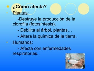 ¿Cómo afecta? Plantas : -Destruye la producción de la  clorofila (fotosíntesis). - Debilita al árbol, plantas… - Altera la química de la tierra. Humanos : - Afecta con enfermedades respiratorias. 