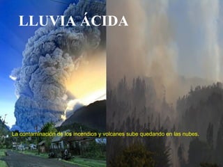 LLUVIA ÁCIDA La contaminación de los incendios y volcanes sube quedando en las nubes. 
