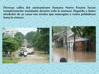 Diversas calles del asentamiento humano Nuevo Paraíso lucían
completamente inundadas durante toda la mañana, llegando a dañar
alrededor de 30 casas con niveles que sumergían a varios pobladores
hasta la cintura.
 