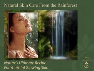 Nature’s Ultimate Recipe For Youthful Glowing Skin Natural  Skin Care From the Rainforest 