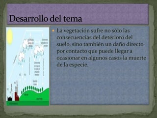 Desarrollo del temaLa vegetación sufre no sólo las consecuencias del deterioro del suelo, sino también un daño directo por contacto que puede llegar a ocasionar en algunos casos la muerte de la especie.