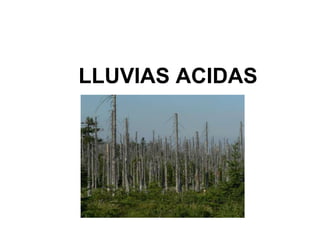 LLUVIAS ACIDAS
 