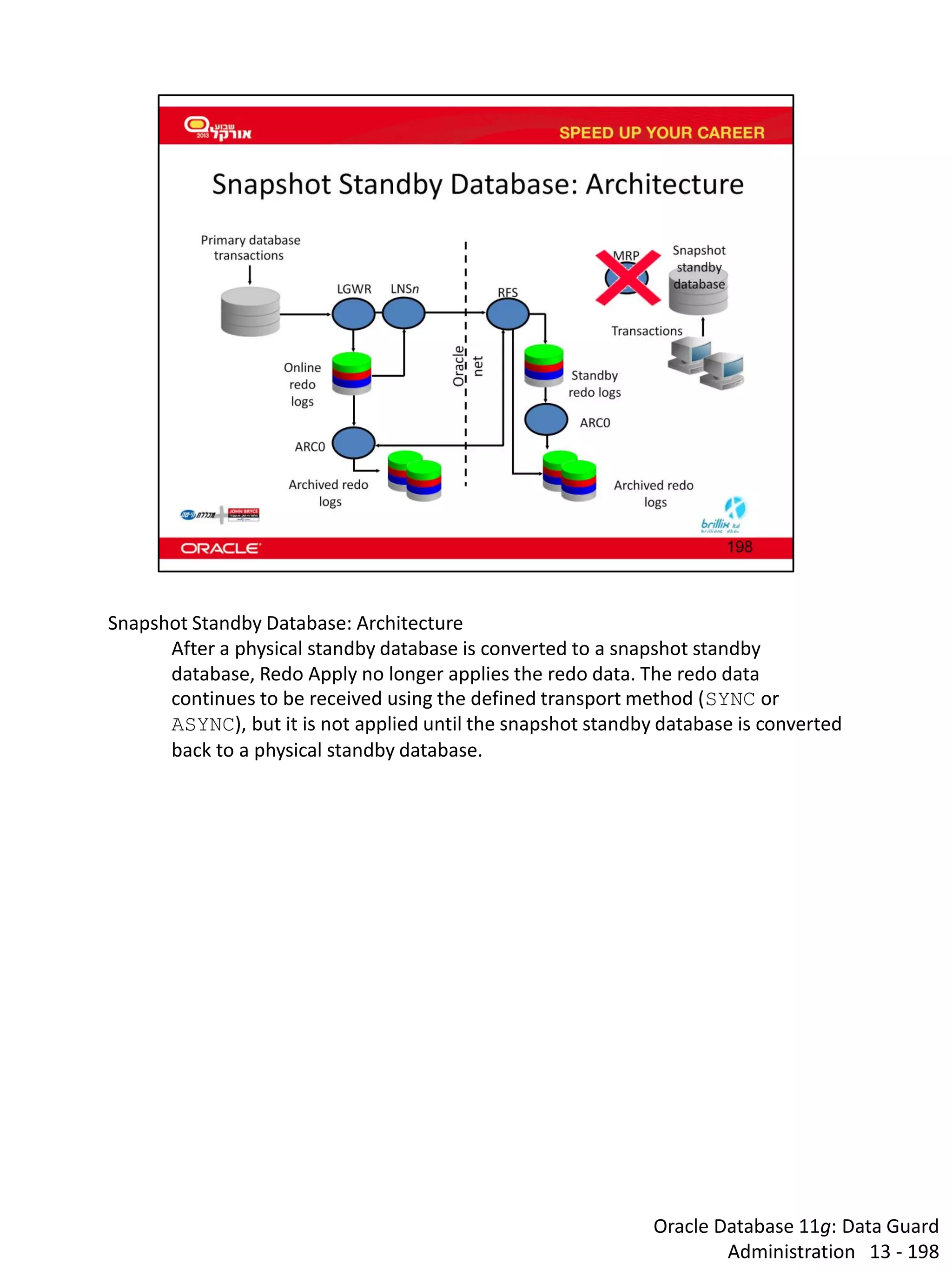 Oracle Database 11g: Data Guard Administration 13 - 198 
Snapshot Standby Database: Architecture 
After a physical standby database is converted to a snapshot standby database, Redo Apply no longer applies the redo data. The redo data continues to be received using the defined transport method (SYNC or ASYNC), but it is not applied until the snapshot standby database is converted back to a physical standby database.  
