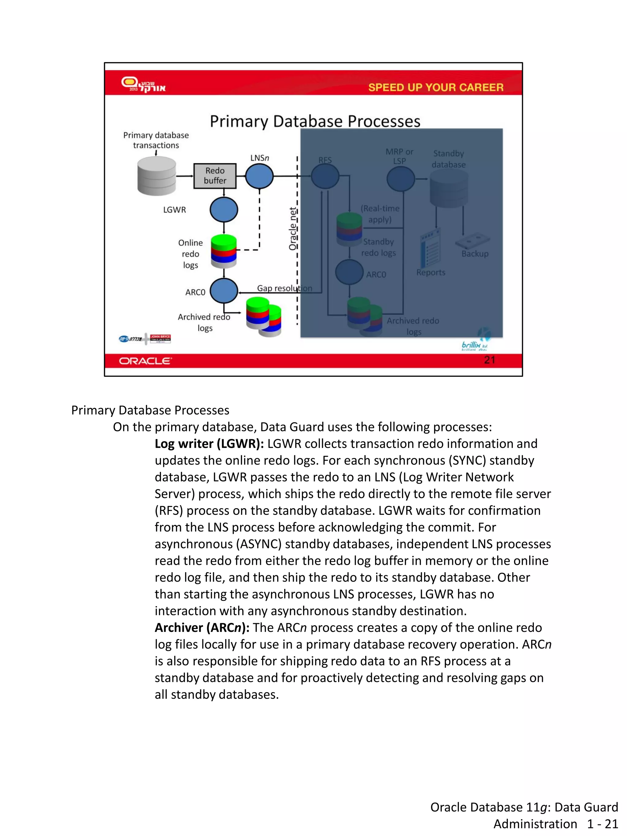 Oracle Database 11g: Data Guard Administration 1 - 21 
Primary Database Processes 
On the primary database, Data Guard uses the following processes: 
Log writer (LGWR): LGWR collects transaction redo information and updates the online redo logs. For each synchronous (SYNC) standby database, LGWR passes the redo to an LNS (Log Writer Network Server) process, which ships the redo directly to the remote file server (RFS) process on the standby database. LGWR waits for confirmation from the LNS process before acknowledging the commit. For asynchronous (ASYNC) standby databases, independent LNS processes read the redo from either the redo log buffer in memory or the online redo log file, and then ship the redo to its standby database. Other than starting the asynchronous LNS processes, LGWR has no interaction with any asynchronous standby destination. 
Archiver (ARCn): The ARCn process creates a copy of the online redo log files locally for use in a primary database recovery operation. ARCn is also responsible for shipping redo data to an RFS process at a standby database and for proactively detecting and resolving gaps on all standby databases.  