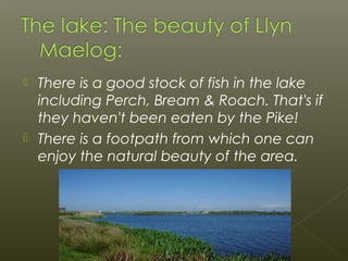  There is a good stock of fish in the lake
including Perch, Bream & Roach. That's if
they haven't been eaten by the Pike!
 There is a footpath from which one can
enjoy the natural beauty of the area.
 