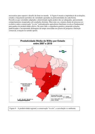 necessários para superar o desafio da fome no mundo. A Figura 4 mostra a importância de avaliações,
estudos e lançamento periódico de variedades ajustadas às particularidades de cada bioma.
Percebe-se que variedades adaptadas a determinada região podem não ser adequadas, apresentando
comportamentos inesperados sob condições distintas. Mais uma vez, estamos diante de processo co-
evolutivo onde a conservação “in-situ” realizada pelos agricultores familiares revela-se fundamental
para ganhos de produtividade efetiva. De outro lado, a engenharia genética, propondo soluções
padronizadas e incorporando defasagens de tempo associadas aos prazos de pesquisa e liberação
comercial, avançam no sentido oposto.
Figura 4 – A produtividade regional, a conservação “in-situ”, a coevolução e o ambiente.
 