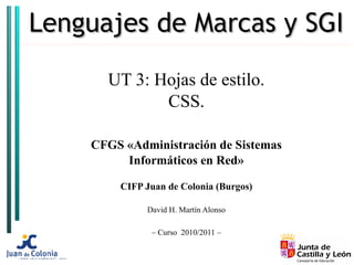 Lenguajes de Marcas y SGI

      UT 3: Hojas de estilo.
             CSS.

    CFGS «Administración de Sistemas
         Informáticos en Red»

        CIFP Juan de Colonia (Burgos)

             David H. Martín Alonso

              – Curso 2010/2011 –
 