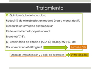 Tratamiento
 Quimioterápia de induccion:

Reducir % de mieloblastos en medula ósea a menos de 5%

Eliminar la enfermedad extramedular

Restaurar la hematopoyesis normal

Esquema ¨7-3¨:

(7) Arabinósido de citocina (ARA-C) 100mg/m2 y (3) de

Daunorrubicina 45-60mg/m2                             Remisión 70%


   Etapa de intensificación 2-3 dosis de citarabina   Evitar recaídas
 