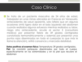 Caso Clínico

 Se trata de un paciente masculino de 24 años de edad,
  trabajador en unas minas ubicadas en Caracas en Venezuela,
  antecedentes de salud aparente, solo refiere que en algunas
  ocasiones sintió ligero dolor en el lado izquierdo del abdomen
  cuando realizaba algunos esfuerzos mientras realizaba su labor,
  niega otro antecedente, acude al sector 3 (consultorio
  medico) por presentar fiebre de 39 grados centígrados
  constatada termométricamente y además por presentar unos
  puntos rojos diseminados en todo el cuerpo(es lo que más le
  llama la atención), refirió cansancio y marcada debilidad.

  Datos positivos al examen físico: Temperatura: 39 grados centígrados.
  Piel: Se constató petequias diseminadas por todo el cuerpo
  específicamente en las extremidades y en la piel que recubre el
  abdomen
 