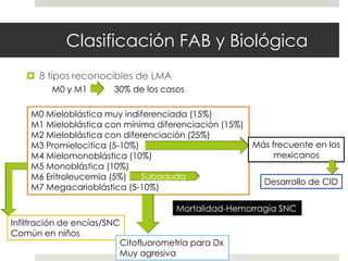 Clasificación FAB y Biológica
    8 tipos reconocibles de LMA
         M0 y M1        30% de los casos

    M0 Mieloblástica muy indiferenciada (15%)
    M1 Mieloblástica con mínima diferenciación (15%)
    M2 Mieloblástica con diferenciación (25%)
    M3 Promielocitica (5-10%)                          Más frecuente en los
    M4 Mielomonoblástica (10%)                              mexicanos
    M5 Monoblástica (10%)
    M6 Eritroleucemia (5%)
                                                         Desarrollo de CID
    M7 Megacarioblástica (5-10%)



Infiltración de encías/SNC
Común en niños
                          Citofluorometria para Dx
                          Muy agresiva
 