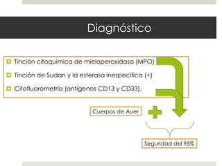 Diagnóstico

 Tinción citoquimica de mieloperoxidasa (MPO)

 Tinción de Sudan y la esterasa inespecífica (+)

 Citofluorometría (antígenos CD13 y CD33).


                            Cuerpos de Auer




                                              Seguridad del 95%
 