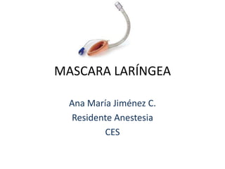 MASCARA LARÍNGEA

  Ana María Jiménez C.
  Residente Anestesia
          CES
 