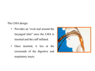 Lma Visualization LMA (1).ppt