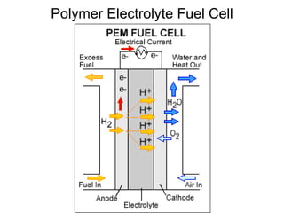 Polymer Electrolyte Fuel Cell
 
