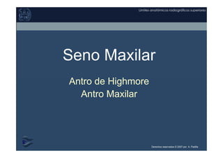 Derechos reservados © 2007 por A. Padilla
Límites anatómicos radiográficos superiores
Seno Maxilar
Antro de Highmore
Antro Maxilar
 
