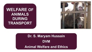 WELFARE OF
ANIMALS
DURING
TRANSPORT
Dr. S. Maryam Hussain
DVM
Animal Welfare and Ethics
 