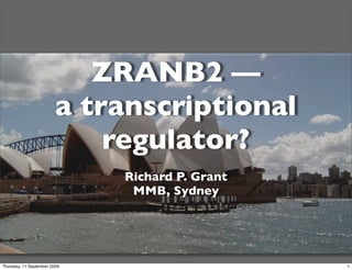 ZRANB2 —
                         a transcriptional
                             regulator?
                              Richard P. Grant
                               MMB, Sydney




Thursday, 11 September 2008                      1
 