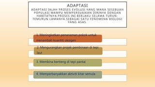 ADAPTASI
ADAPTASI IALAH PROSES EVOLUSI YANG MANA SESEBUAH
POPULASI MAMPU MEMPERSUAIKAN DIRINYA DENGAN
HABITATNYA.PROSES INI BERLAKU SELAMA TURUN-
TEMURUN LAMANYA.SEBAGAI SATU FENOMENA BIOLOGI
YANG ASAS.
1. Meningkatkan penanaman pokok untuk
menambah kuantiti oksigen
2. Mengurangkan projek pembinaan di tepi
laut
3. Membina benteng di tepi pantai
4. Memperbanyakkan aktiviti kitar semula
 