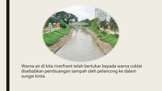 Warna air di kita riverfront telah bertukar kepada warna coklat
disebabkan pembuangan sampah oleh pelancong ke dalam
sungai kinta
 