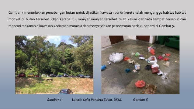 isu alam sekitar 2019