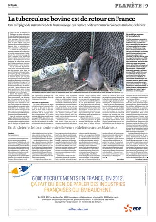 0123
Mardi 28 février 2012                                                                                                                                                                   planète                                                             9

La tuberculose bovine est de retour en France
Une campagne de surveillance de la faune sauvage, qui menace de devenir un réservoir de la maladie, est lancée


I
    l n’y a ni cerfs, ni sangliers, ni
    blaireaux au Salon internatio-                                                                                                                                                                          Un arrêt trop précoce
    nal de l’agriculture, qui se tient                                                                                                                                                                      de la prophylaxie
à Paris jusqu’au dimanche 4 mars.
Trop sauvages. Ou trop conta-                                                                                                                                                                               L’Union européenne accorde le
gieux. Ces occupants de nos forêts                                                                                                                                                                          statut d’« indemne de tuberculo-
sont en effet l’objet d’un plan                                                                                                                                                                             se bovine » à un pays dès lors
nationalde surveillanceépidémio-                                                                                                                                                                            qu’il a démontré, trois ans de sui-
logique, lancé en septembre 2011                                                                                                                                                                            te, l’absence d’infections dans
par le ministère de l’agriculture.                                                                                                                                                                          au moins 99,9 % de ses chep-
   La raison ? Ils sont porteurs, en                                                                                                                                                                        tels. La France comptant envi-
nombre croissant, de la tuberculo-                                                                                                                                                                          ron 200 000 élevages, il suffirait
se bovine, faisant craindre l’instal-                                                                                                                                                                       que 200 soient déclarés infec-
lation d’un réservoir sauvage de                                                                                                                                                                            tés pour que la barre soit
cette maladie. Une situation                                                                                                                                                                                franchie. Ce qui, de l’avis de tous
d’autant plus inquiétante que la                                                                                                                                                                            les experts, se produira en 2012.
France, déclarée depuis dix ans                                                                                                                                                                             La faute d’un arrêt trop précoce
indemne de tuberculose bovine                                                                                                                                                                               de la prophylaxie. Autrefois réali-
par l’Union européenne, va proba-                                                                                                                                                                           sé une fois par an sur chaque
blement perdre ce statut en 2012.                                                                                                                                                                           bovin, le test tuberculinique, qui
   Due à la bactérie Mycobacte-                                                                                                                                                                             permettait de repérer les foyers
rium bovis, cette affection chroni-                                                                                                                                                                         de contagion, a commencé à
que ne constitue plus, dans les                                                                                                                                                                             être moins pratiqué à la fin des
paysdéveloppéspratiquant la pas-                                                                                                                                                                            années 1990, avant d’être pres-
teurisation du lait, un problème                                                                                                                                                                            qu’arrêté. On est alors passé à
desanté publique.Ni mêmedesan-                                                                                                                                                                              une inspection systématique
té animale depuis que ces pays                                                                                                                                                                              des carcasses à l’abattoir, en
sontparvenusà assainirleurstrou-                                                                                                                                                                            réservant le test biologique aux
peaux par abattage et surveillance                                                                                                                                                                          élevages suspects. Mais la tuber-
épidémiologique. Alors que 25 % à                                                                                                                                                                           culose est une maladie qui pro-
30 % des élevages bovins français                                                                                                                                                                           gresse lentement et ne rend pas
étaienttouchés en 1954,on ne trou-                                                                                                                                                                          toujours les animaux malades : à
vait plus l’agent infectieux que                                                                                                                                                                            cesser trop vite le dépistage sys-
dans 52 cheptels en 2002, et dans                                                                                                                                                                           tématique, on a laissé l’agent
42 seulement en 2004, sur un total                                                                                                                                                                          infectieux se redévelopper.
de quelque 200000 élevages.                  Des sangliers capturés dans le cadre du programme lancé par l’Organisation nationale de la chasse et de la faune sauvage, en Côte-d’Or. ONCFS
   Autant dire rien. Mais la propa-
gation entre élevages a insidieuse-          gne, l’opossum (ou phalanger vul-      non l’inverse ». Une hypothèse         trôlable. « Jusqu’à présent, le seul    ments : en Côte-d’Or, où 6 % à 7 %       troupeau deux ou trois années de
ment recommencé à se dévelop-                pin) en Nouvelle-Zélande, le cerf de   confirmée par Didier Calavas,          lieu de France où a été découvert       des sangliers seraient porteurs de       suite. Le doute est vraiment per-
per : 97 nouveaux foyers ont été             Virginie aux Etats-Unis…               expert en épidémiologie animale        un vrai réservoir sauvage de tuber-     la bactérie, en Dordogne et, à un        mis», estime M. Hars.
découverts en 2010, et sans doute                                                   à l’Agence nationale de sécurité       culose bovine est la forêt de Breton-   moindre degré, dans les Pyrénées-           Que faire dans ce cas ? En pre-
bien plus d’une centaine en 2011.            Vacciner les blaireaux ?               sanitairede l’alimentation,de l’en-    ne, en Seine-Maritime », précise        Atlantiques, en Ariège et en Corse.      mier lieu, tenter d’enrayer la pro-
Pire: non contente de s’épanouir à              En France, « la bactérie M. bovis   vironnementet du travail (Anses) :     M.Hars. Dans cette zone bien déli-         Mais ce ne sont désormais plus        gression du mal : depuis deux ans,
nouveaudanslestroupeaux,labac-               a été détectée pour la première fois   « La tuberculose bovine est une        mitée,l’infectionatteignit en quel-     les cerfs et les sangliers qui inquiè-   des milliers de blaireaux ont été
térie M. bovis se développe désor-           en 2001 sur des cerfs et des san-      maladie des bovins. Ce sont eux qui    ques années 20 % des cerfs et 30 %      tent les experts : ce sont les blai-     abattus en Côte-d’Or, ce qui n’em-
mais dans la faune sauvage. Car cet          gliers, et depuis 2009 sur des blai-   constituent le réservoir de la mala-   des sangliers. En 2006, les autori-     reaux, qui se contaminent notam-         pêche pas le taux d’infection de se
agentmicrobien,loind’êtrespécifi-            reaux », indique le vétérinaire        die et la transmettent à l’occasion    tés décidèrent de procéder à l’abat-    ment en cherchant des vers dans          maintenir autour de 6 %-7 % dans
que aux bovins, peut infecter prati-         Jean Hars, chef de l’équipe mala-      aux animaux sauvages », affir-         tage systématique des cervidés.         les bouses de vaches. En Côte-d’Or       leurs populations. Mais aussi
quement tous les mammifères.                 dies transmissibles de l’Office        me-t-il. Ce qui n’exclut pas le ris-   Moyennant quoi « le problème est        toujours, on redoute que cette           essayerd’ensavoir plussur les rela-
   Dans de nombreux pays déve-               national de la chasse et de la faune   que de voir ces derniers devenir de    en passe d’être réglé».                 espèce soit d’ores et déjà devenue       tions qu’entretient l’espèce avec
loppés, d’importantes poches d’in-           sauvage (ONCFS). Qui précise aus-      nouveaux réservoirs.                      Depuiscette première et sérieu-      un réservoir. « Depuis 2002,             les bovins. Un travail de recherche
fectionpersistentchezcertainsani-            sitôt que « les animaux sauvages          Ce scénario, les autorités veu-     se alerte, des carcasses de gibier      130 cheptels ont été infectés, dont      vient d’être lancé, pour suivre les
mauxsauvages:lesanglierenEspa-               ont servi de révélateur du problè-     lent l’éviter à tout prix, tant la     sauvage infectées ont été décou-        45 pour la seule année 2010. Et cer-     déplacements de sangliers et de
gne, le blaireau en Grande-Breta-            me subsistant dans les élevages, et    situation deviendrait alors incon-     vertes dans d’autres départe-           tains éleveurs ont dû abattre leur       blaireaux équipés de colliers GPS.
                                                                                                                                                                                                            Des camérasinfrarougesont égale-

En Angleterre, le ton monte entre éleveurs et défenseurs des blaireaux                                                                                                                                      ment été installées auprès de silos
                                                                                                                                                                                                            à grains et de mangeoires, afin de
                                                                                                                                                                                                            vérifier si ces installations reçoi-
                                                                                                                                                                                                            vent des visiteurs nocturnes.
Londres                                      tuberculose bovine, dont les blai-     forte augmentation de la tubercu-      culteurs appelle depuis des             pas être efficace : de l’aveu même          Destinée à mieux évaluer le ris-
Correspondance                               reaux sont un vecteur, ne fonc-        lose bovine depuis une décennie.       années à un programme d’abatta-         du gouvernement, cela ne rédui-          que de voir se constituer de nou-
                                             tionne plus. Impossible de savoir      La maladie s’est particulièrement      ge. C’était compter, dans un pays       rait la tuberculose que de 16 %.         veaux réservoirs de la maladie, la
Les blaireaux britanniques vont-             exactement où en est la maladie.       propagée dans l’ouest et le sud-       où la protection des animaux est           Tous espèrent à terme trouver         campagne de surveillance de la
ils être sauvés par une panne                    Les deux premiers tests d’abat-    ouest de l’Angleterre, où près du      un sujet extrêmement sensible,          une solution grâce à la mise au          faune sauvage lancée par les pou-
informatique? La décision de pro-            tage – dans le Somerset et le Glou-    quart des fermes bovines est affec-    sans la réaction des groupes de         point d’un vaccin. En attendant,         voirs publics vise à dresser un état
céder à une campagne d’abattage              cestershire, dans l’ouest de l’An-     té. Chaque vache contrôlée positi-     défense des blaireaux. « Arrêtez le     le désaccord continue. Voilà peu,        des lieux sur l’ensemble du terri-
de ces mustélidés, prise en décem-           gleterre – ne sont prévus qu’à par-    ve devant être abattue, cela s’est     meurtre! », lance Operation             la BBC s’interrogeait sur l’étrange      toire national. En avril 2011, en
bre 2011 par le gouvernement, est            tir de l’automne. L’agence assure      traduit en 2010 par la mise à mort     Meles, l’une des associations les       affection des Britanniques pour          conclusiond’un rapport surce thè-
actuellement bloquée par un bug              que la panne informatique sera         de 32 000 animaux. Il en coûte         plus virulentes. La Ligue contre        ces animaux qui ne sont absolu-          me, le directeur général de l’Anses,
des ordinateurs de l’Agence des              réparée d’ici là. Mais ce dernier      environ 100 millions d’euros par       les sports extrêmes vient de lan-       ment pas en danger d’extinction,         MarcMortureux,estimait qu’il fal-
laboratoires vétérinaires et de la           épisode rocambolesque illustre         an en compensations accordées          cer un appel pour bloquer les           se demandant : « Pourquoi som-           lait, en cas de diffusion de l’infec-
santé des animaux. Depuis le                 l’étonnant feuilleton qui oppose       aux éleveurs.                          tests d’abattage: elle affirme          mes-nous si sentimentaux envers          tion, « se préparer dès maintenant
changement de son système infor-             agriculteurs et défenseurs des ani-        Les blaireaux étant l’une des      avoir réuni plus de 100000 signa-       les blaireaux ? » Bonne ques-            à la possibilité d’engagerune vacci-
matique, il y a six mois, le rassem-         maux outre-Manche.                     principales sources de transmis-       tures de soutien. Et elle souligne      tion. p                                  nation des blaireaux par le BCG ». p
blement des statistiques sur la                  A l’origine du problème, une       sion, le syndicat national des agri-   que tuer les blaireaux pourrait ne                              Eric Albert                     Catherine Vincent
                                                                                                                                                                                                                                            EDF 552 081 317 RCS PARIS, 75008 Paris –




                                             6 000 RECRUTEMENTS EN FRANCE, EN 2012.


                                                          En 2012, EDF va embaucher 6 000 nouveaux collaborateurs et accueillir 3 000 alternants
                                                               dans tous ses champs d’expertise, partout en France. Il n’en faudra pas moins
                                                                            pour satisfaire les besoins en électricité de demain.



           L’énergie est notre avenir, économisons-la !                                                   edfrecrute.com
 