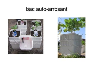 bac auto-arrosant
 