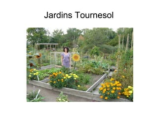 Jardins Tournesol
 