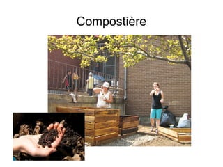 Compostière
 