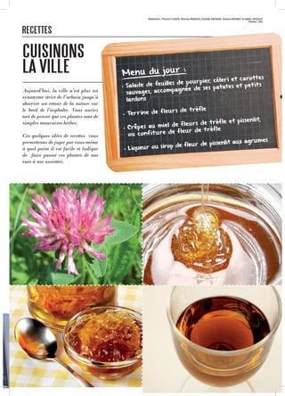 Rédaction : Florent CLAEYS, Maxime RENAUD, Clotilde GREINER, Océane BOUNET et Adèle JACQUOT
Photos : SXC
Aujourd’hui, la ville n’est plus un
synonyme strict de l’urbain jusqu’à
observer un retour de la nature sur
le bord de l’asphalte. Vous auriez
tort de penser que ces plantes sont de
simples mauvaises herbes.
Ces quelques idées de recettes vous
permettrons de juger par vous-même
à quel point il est facile et ludique
de faire passer ces plantes de nos
rues à nos assiettes.
CUISINONS
LA VILLE
RECETTES
Menu du jour :
• Salade de feuilles de pourpier, céleri et carottes
sauvages, accompagnée de ses patates et petits
lardons
• Terrine de fleurs de trèfle
• Crêpes au miel de fleurs de trèfle et pissenlit,
ou confiture de fleur de trèfle
• Liqueur ou sirop de fleur de pissenlit aux agrumes
 