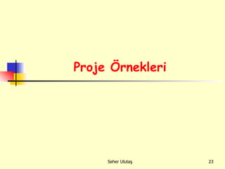 Proje Örnekleri 
