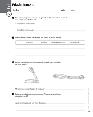© IBAIZABAL/BAIMENDUTAKO MATERIAL FOTOKOPIAGARRIA 
12 
Erlazio funtzioa 
Ikaslea: Maila: Data: 2 
E2 
Esan zer alde dagoen borondatezko mugimenduen eta oharkabekoen artean, eta 
ipini bakoitzaren adibideren bat. 
• Borondatezko mugimenduak: _____________________________________________________________ 
___________________________________________________________________________________ 
• Oharkabeko mugimenduak: ______________________________________________________________ 
___________________________________________________________________________________ 
1 
2 Idatzi bizkarrezur muinari buruzko testu bat, honako hitz hauek erabilita. 
Honako marrazki hauetan, koloreztatu berdez tendoia; gorriz, muskulua; 
eta horiz, hezurra. 
3 
Marrazkietako zeinetan luzatzen da muskulua? 
Pertsona nagusi askok erreumatismoa dute. Zein sistemari eragiten dio 
gaixotasun horrek? 
Azaldu zertan datzan, eta nola ekidin dezakegun. 
4 
bizkarrezur entzefalo oharkabeko erantzun nerbio ehunak 
 
